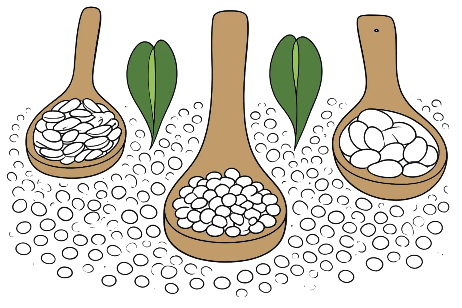 Comprar a granel: una manera més sostenible de comprar aliments Comprar a granel: una manera més sostenible de comprar aliments