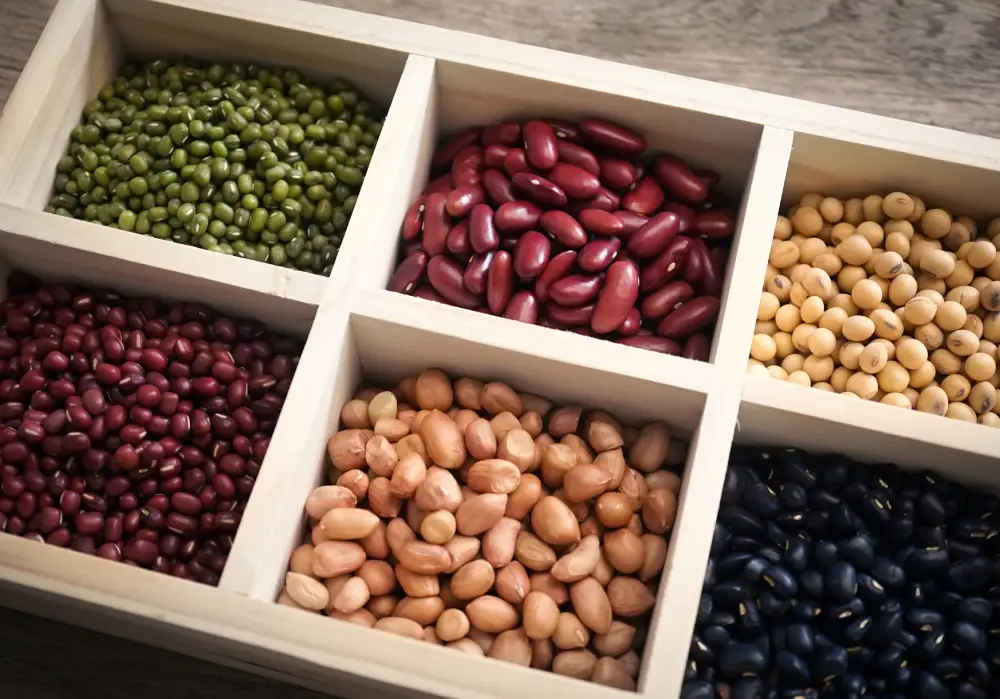 Hidratació i preparació dels aliments secs a granel – El Rebost